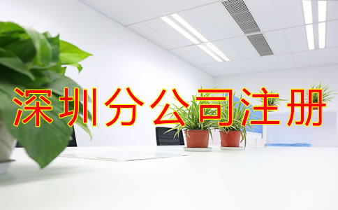 深圳分公司注冊資金要求有哪些？